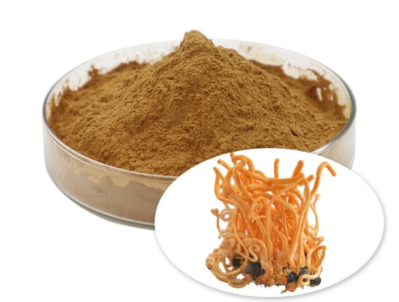 cordyceps mushroom extract powder.png